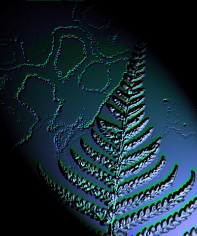 fern.jpeg